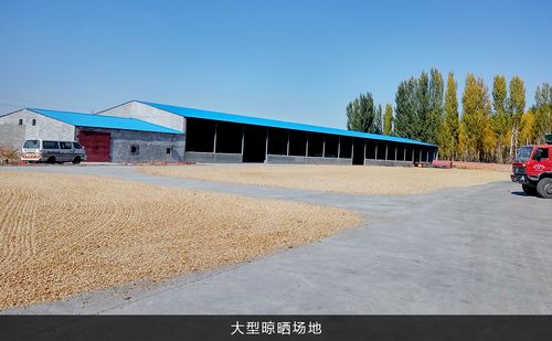 呼图壁县庆福旺农作物种植农民专业合作社